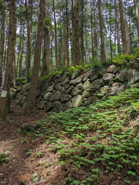 Site of Karasuyama Castle
