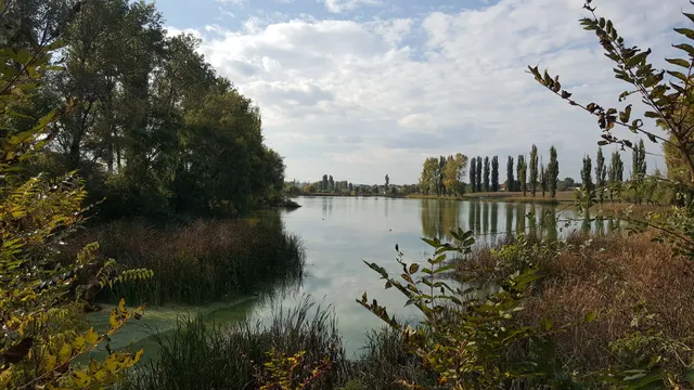 Complexul lacustru Preajba-Făcăi