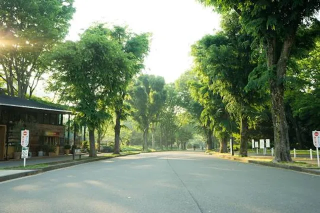 photo-2