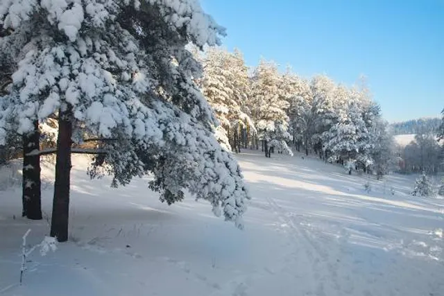 Parque de Invierno