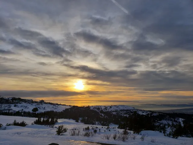 Glen Alps Trailhead Rest Area