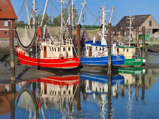National Park House Museum Fedderwardersiel