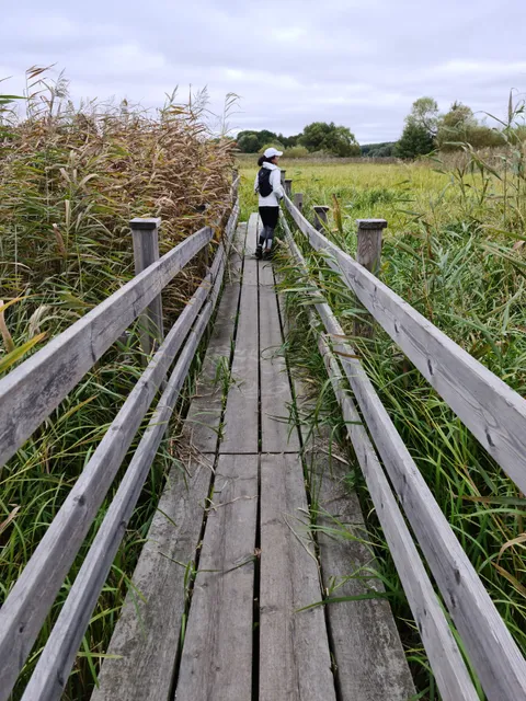 Lily of the Valley Park
