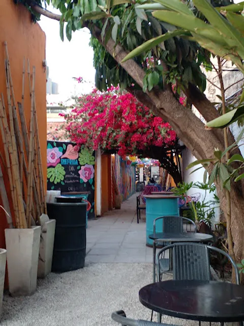 c̲h̲e̲FRIDA – ᴀᴜᴛᴇ́ɴᴛɪᴄᴀ ᴍᴇxɪᴄᴀɴᴀ