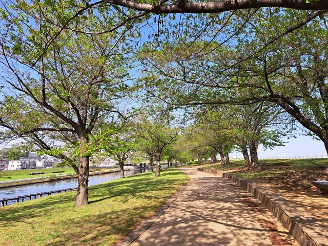 Shinarakawaohashi Ryokuchi Park