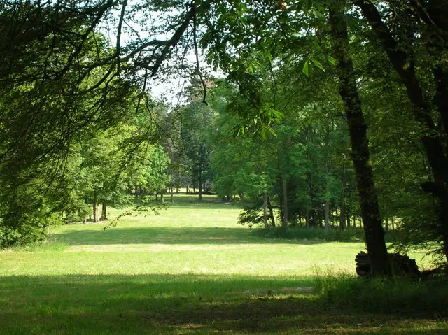 Bois de Bordeaux