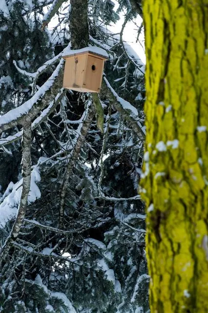 Sunnyside Acres Urban Forest Park