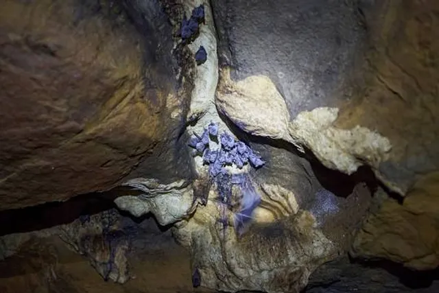 Cueva Caja De Agua