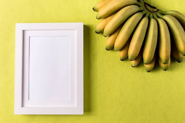 Israeli Cartoon Museum