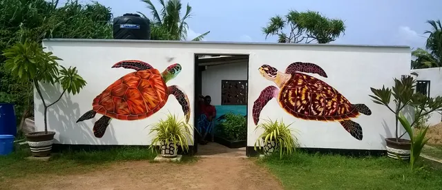 Sea Turtle Farm & Hatchery koggala