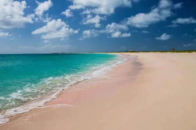 Pink Sands Beach