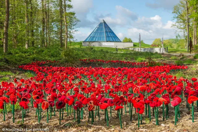 Plugstreet 14-18 experience