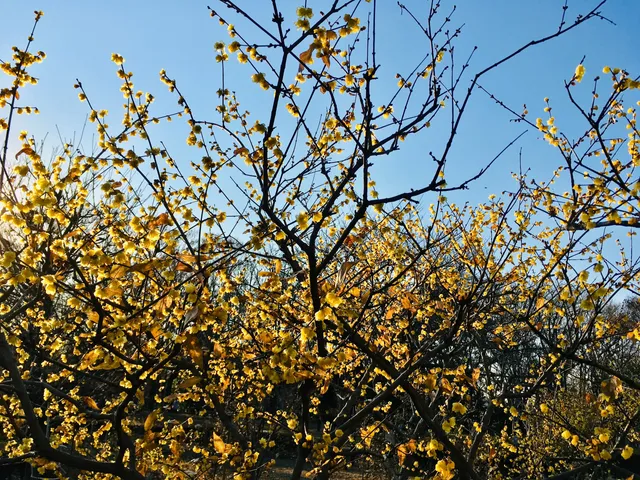 photo-2