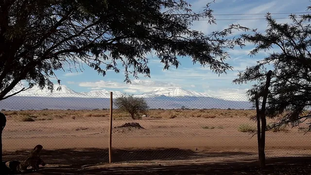 Rincón Escondido Coyo