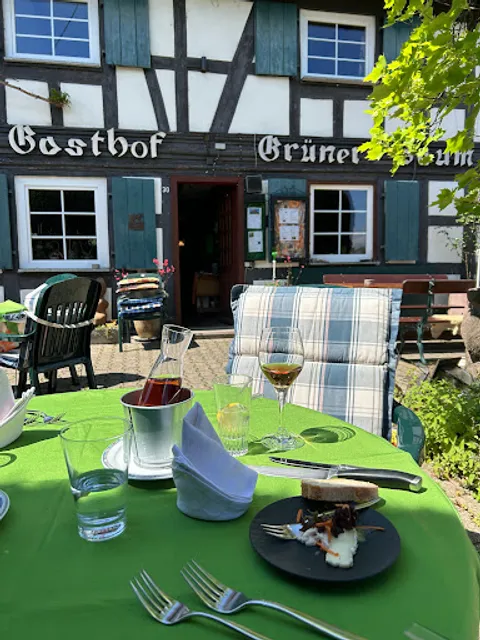 Grüner Baum Linx - Rheinau