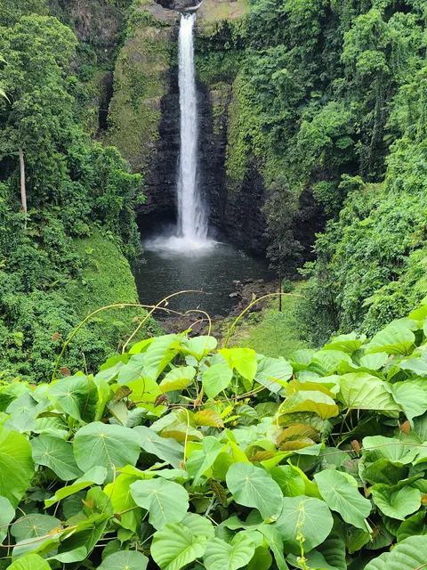 Sopo'aga Falls Viewpoint