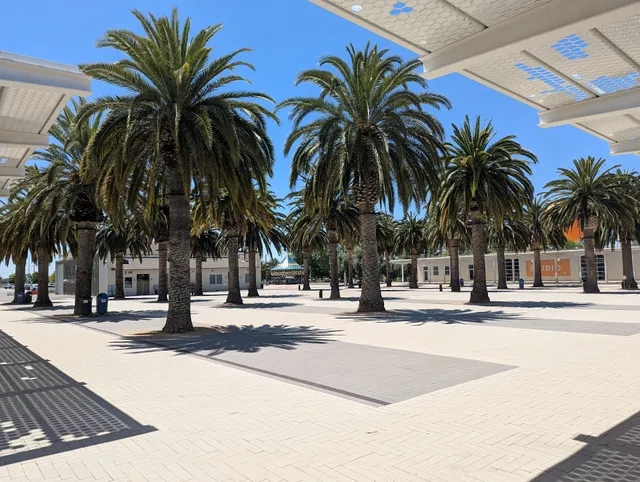 Palm Court Arts Complex