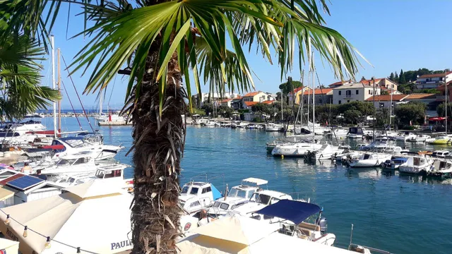 APARTMENTS NIESSNER MALINSKA