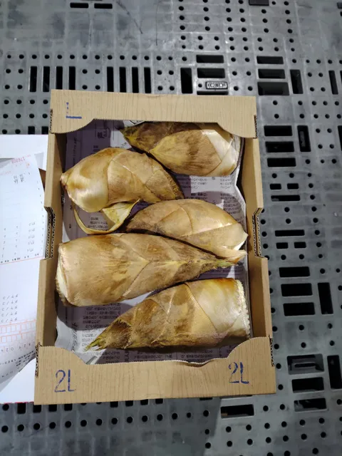 長崎市中央卸売市場