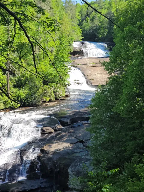 Dupont State Recreational Forest