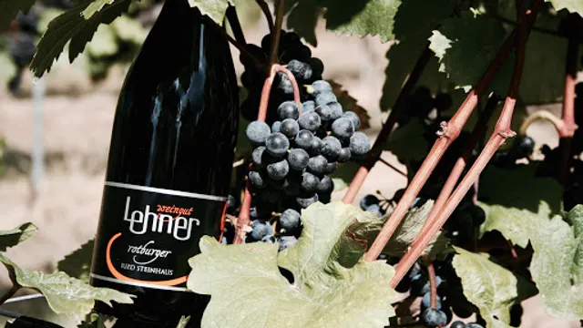 Weingut & Heuriger Lehner