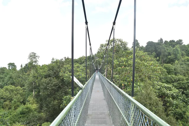 MacRitchie Reservoir Park