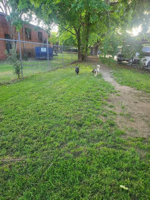 Deep Ellum Lofts Dog Park