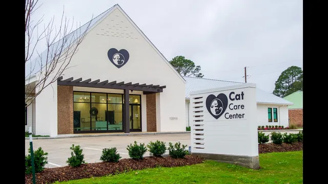 Cat Care Center