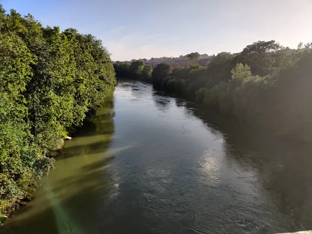 Lungotevere Testaccio