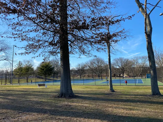 Roosevelt Park Tennis Court