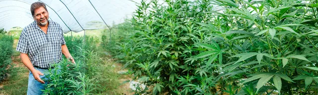 North Pulaski Farms LLC