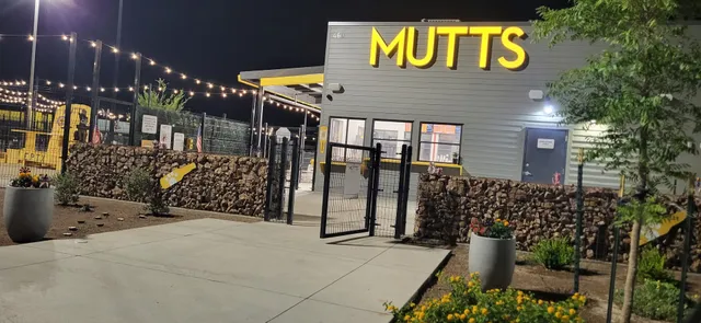 Double Dog Dare Bakery - owned by MUTTZ El Paso in Montecillo