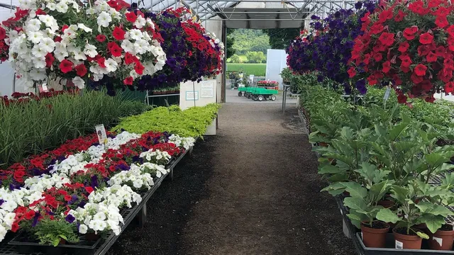 Neil Casey's Farm Market & Greenhouses