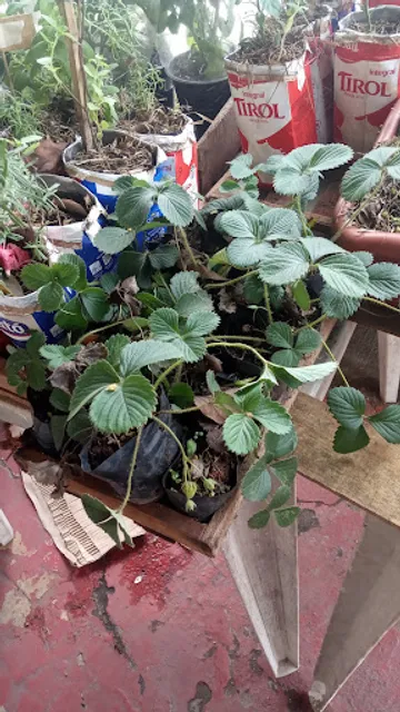 Casa Do Norte Novo Mundo