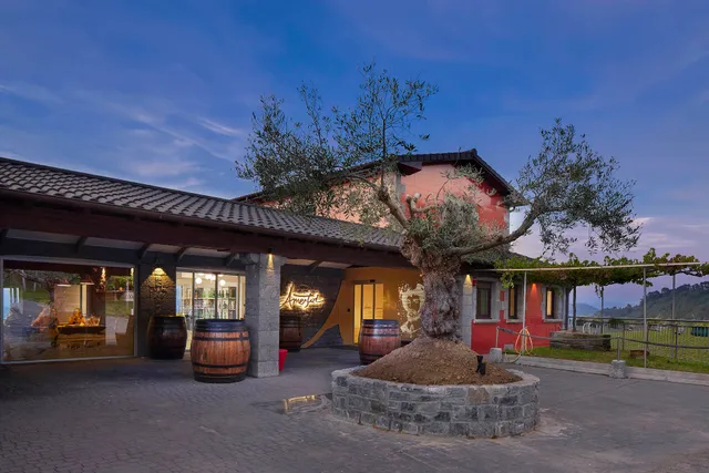 Ameztoi Txakolin Upategia