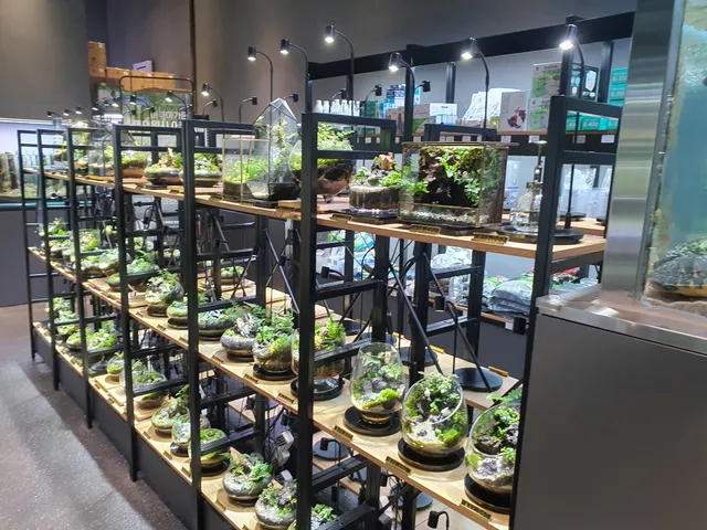 Aqua garden cafe Lotte World Tower