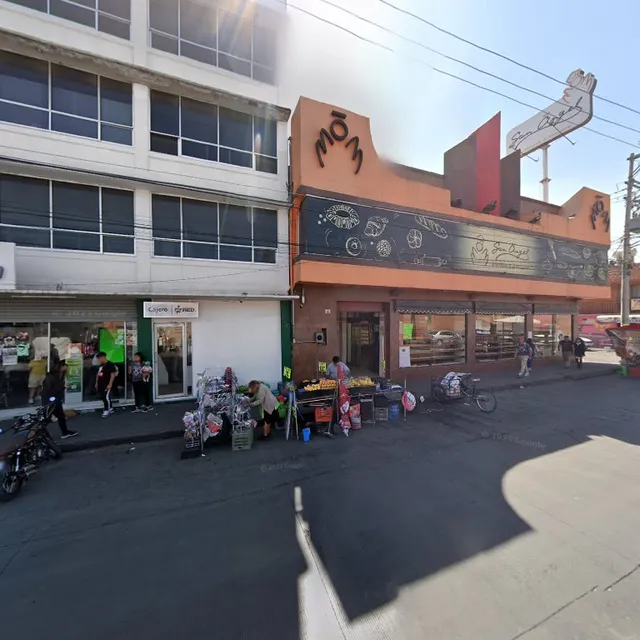 La flor de Michoacán