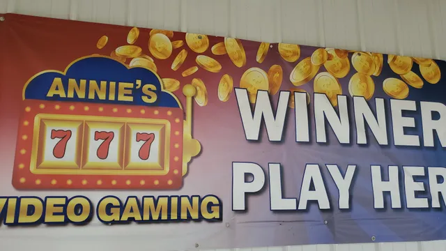 Annie's Video Gaming
