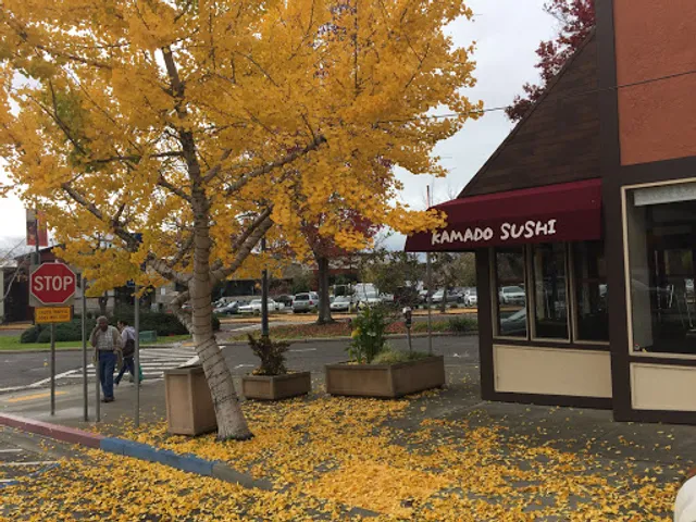 Kamado Sushi (Omakase Sushi)