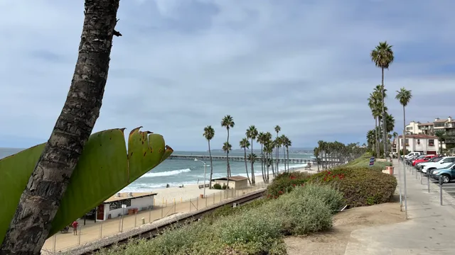 339 W Paseo De Cristobal