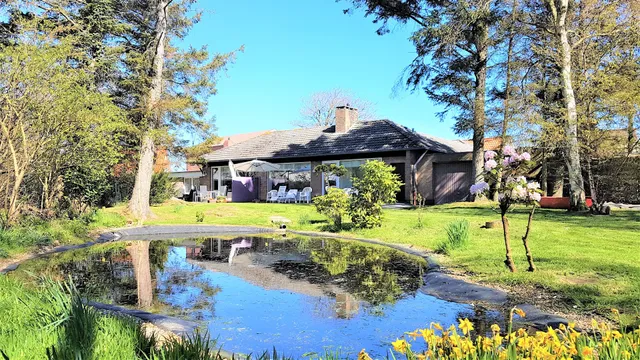 Inselbungalow Borkum