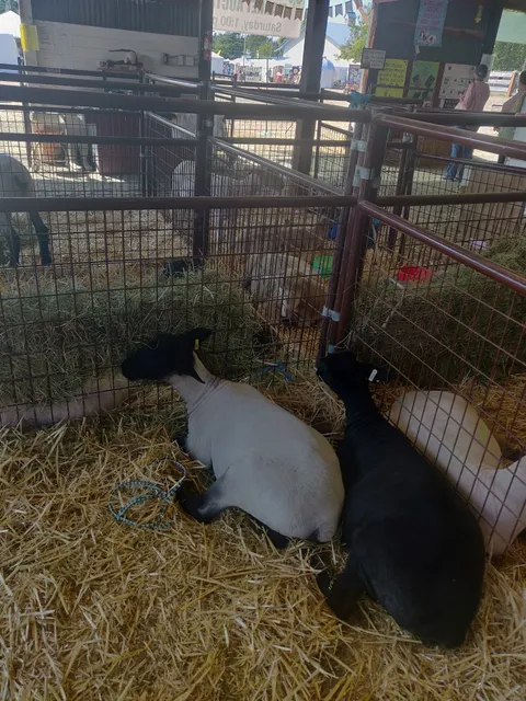 San Juan County Fairgrounds