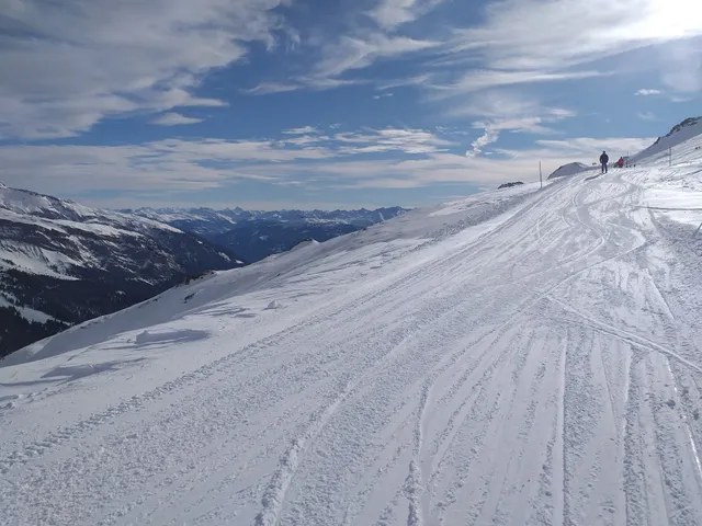 Arena Express Scansinas