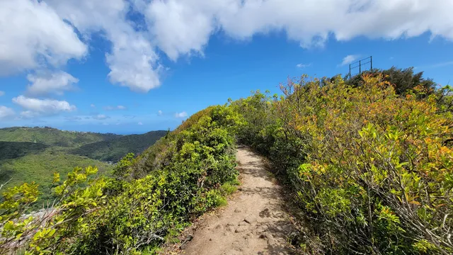 Waʻahila Ridge Trail