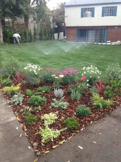 Edgar's Tree Services