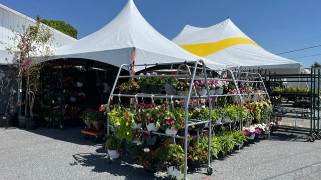 Stover’s Produce Auction LLC