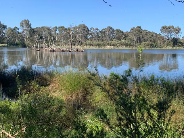 Jells Lake Bird Hide