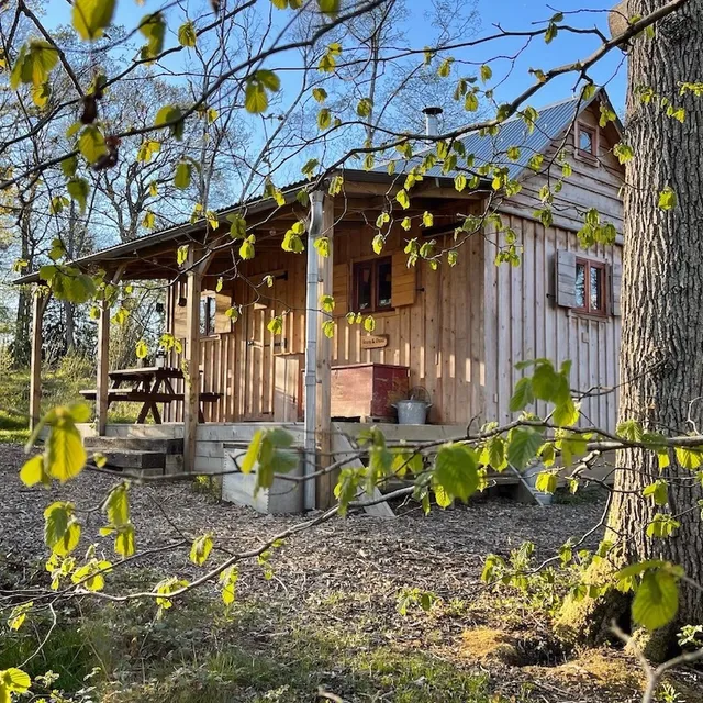 Forest Garden Shovelstrode Ltd