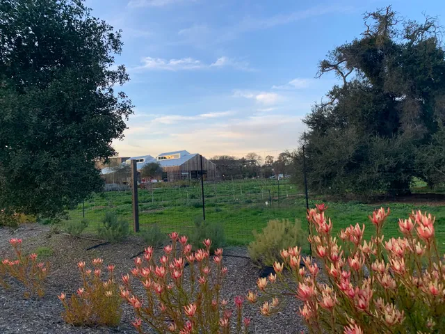 O'Donohue Family Stanford Educational Farm