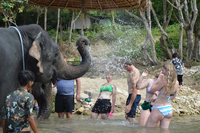 Elephant Sanctuary Home Phuket